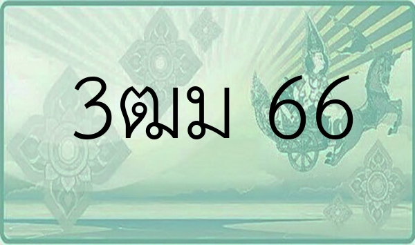3ฒม 66